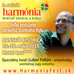 Banner BB Foltan 2015